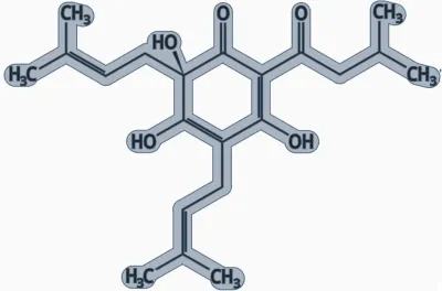 啤酒的化学式