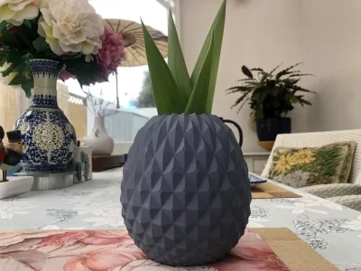 菠萝植物盆