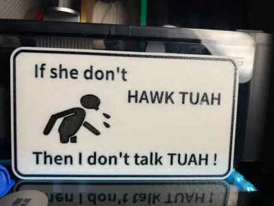 如果她不喜欢HAWK TUAH，那我就不谈论TUAH