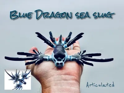 蓝色龙鳞海蛞蝓，可活动的