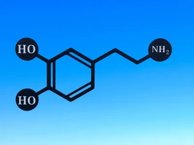 多巴胺的化学结构