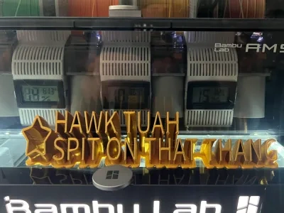 HAWK TUAH桌面标志