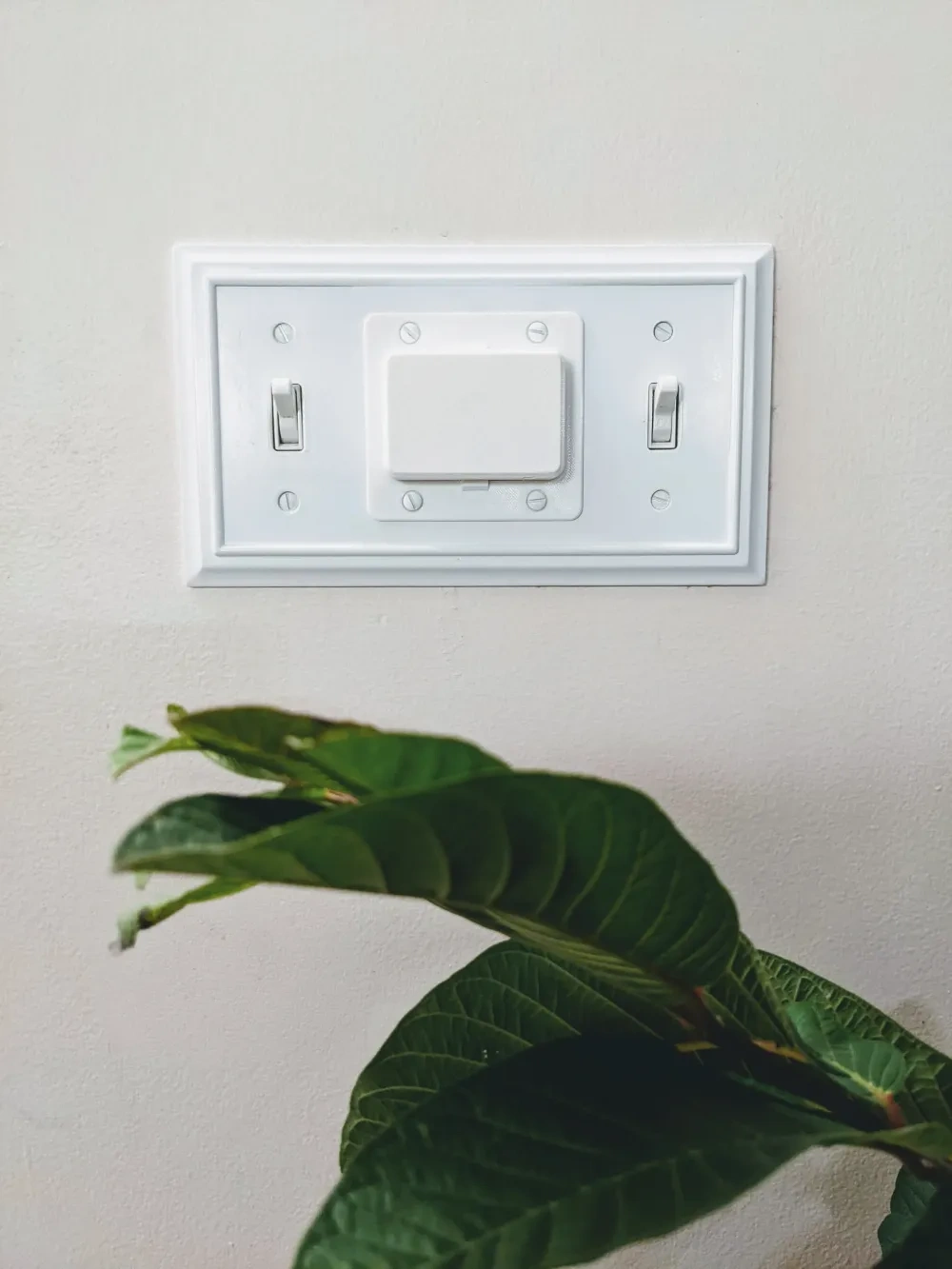 Light Switch Cover 来自 borderbox MakerWorld