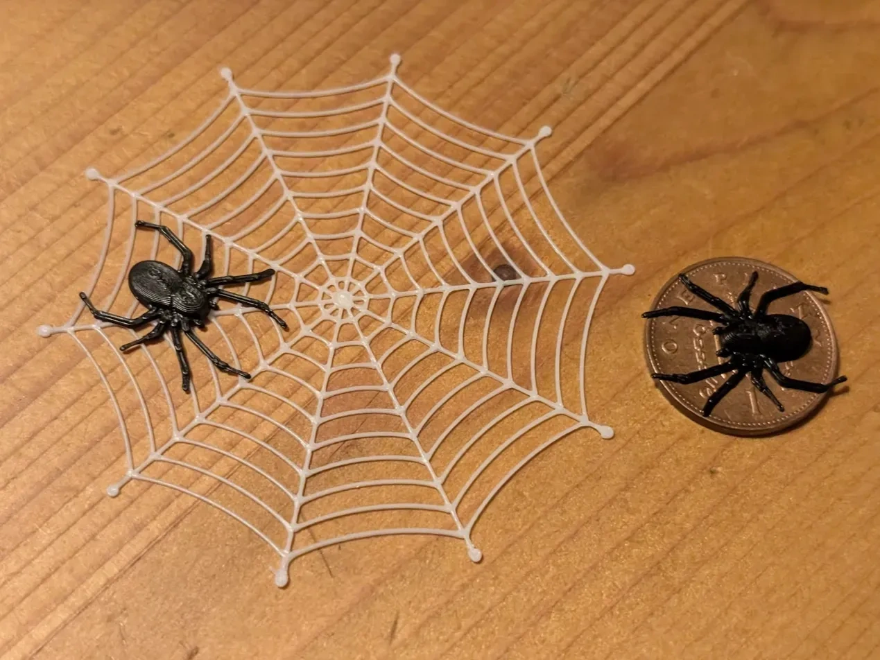 Mini spiderweb and spider