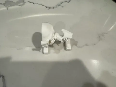 小型犬寰枢椎脱位