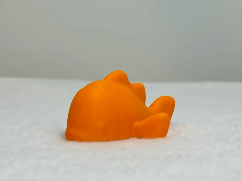 迷你小丑鱼