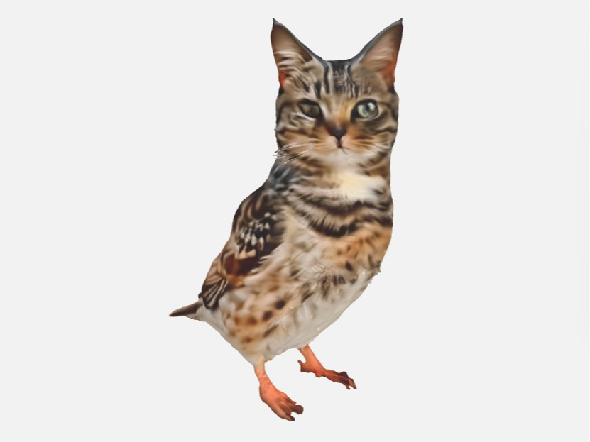 猫猫鸟 - 免费 3D 打印模型 - MakerWorld