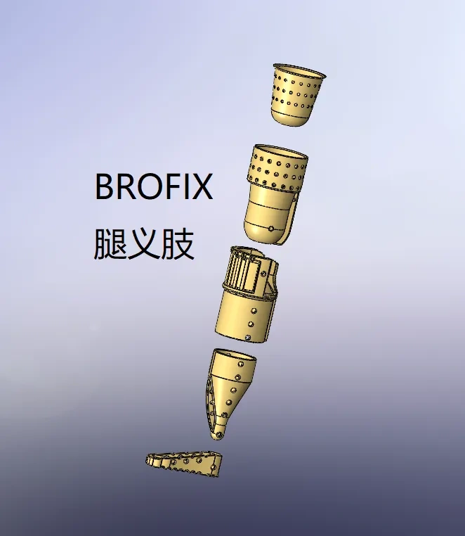 BROFIX腿义肢 - 免费 3D 打印模型 - MakerWorld