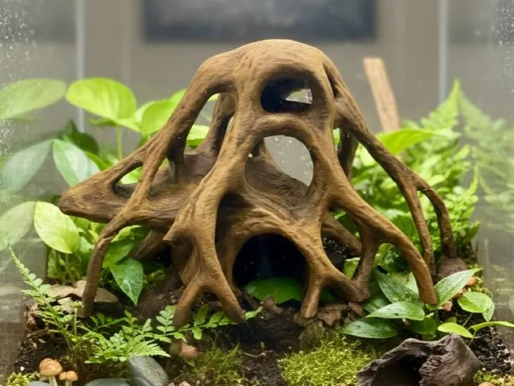 宽大红树根 - 免费 3D 打印模型 - MakerWorld