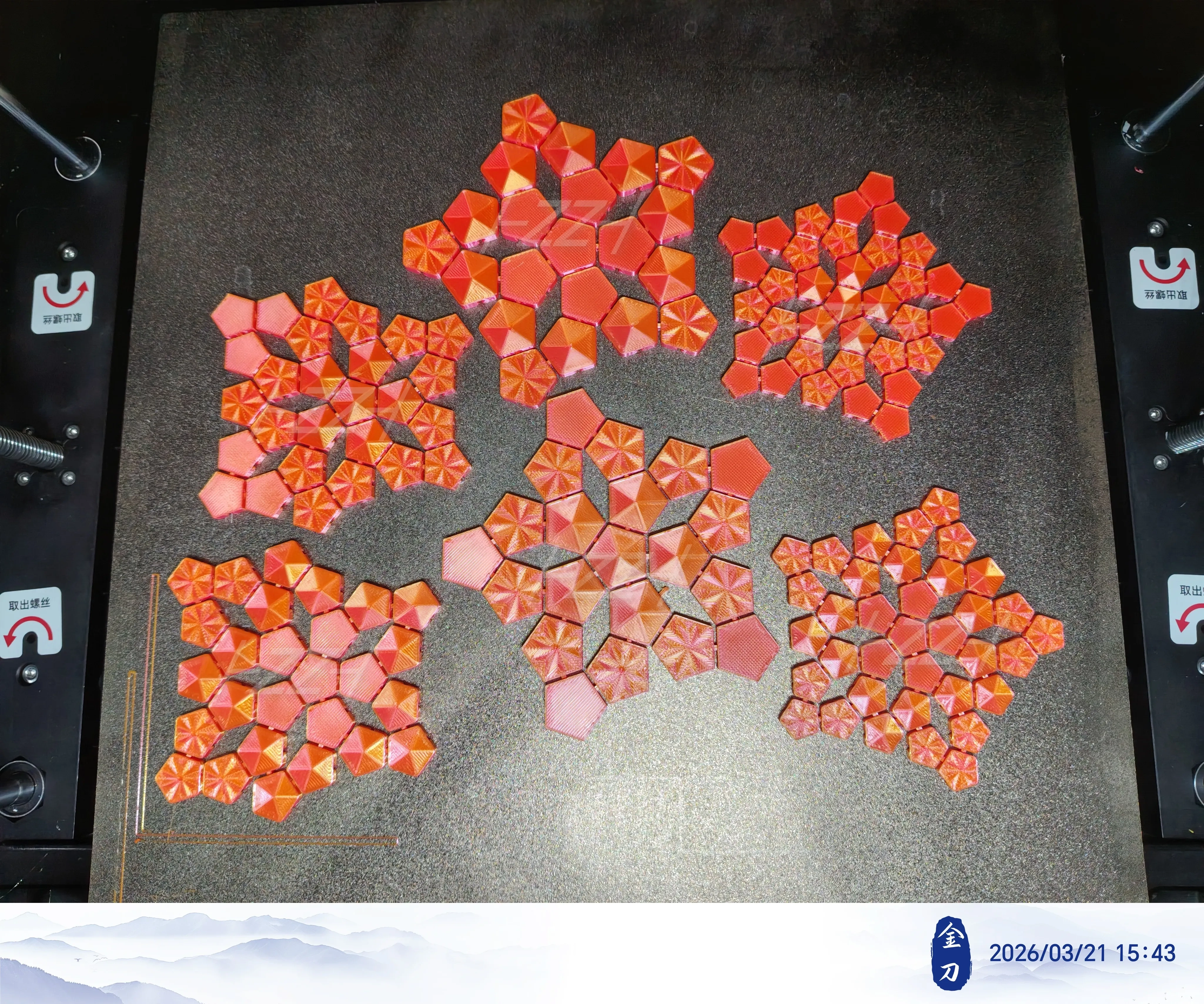 正五边形第五组